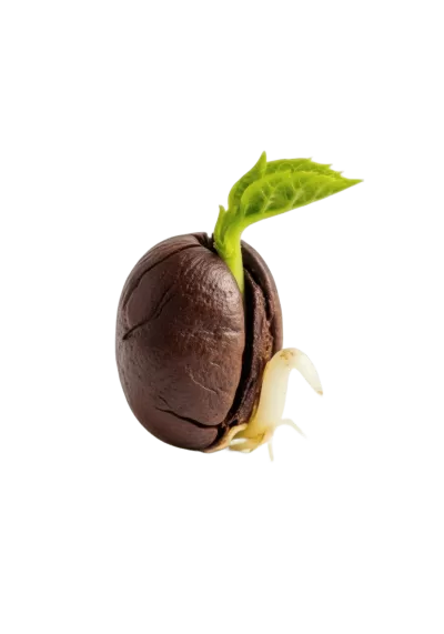 Imagen PNG para descargar